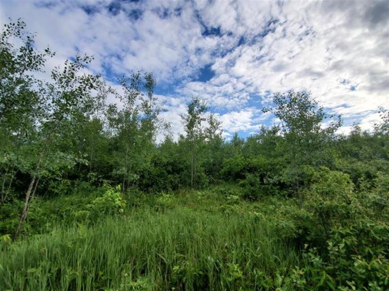 25 Acres Near Country Club : Cassian : Oneida County : Wisconsin