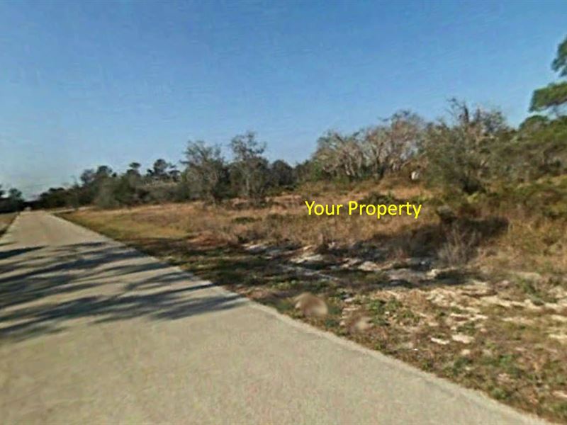 Cleared 0.26 Acre Near Lake : Lake Placid : Highlands County : Florida