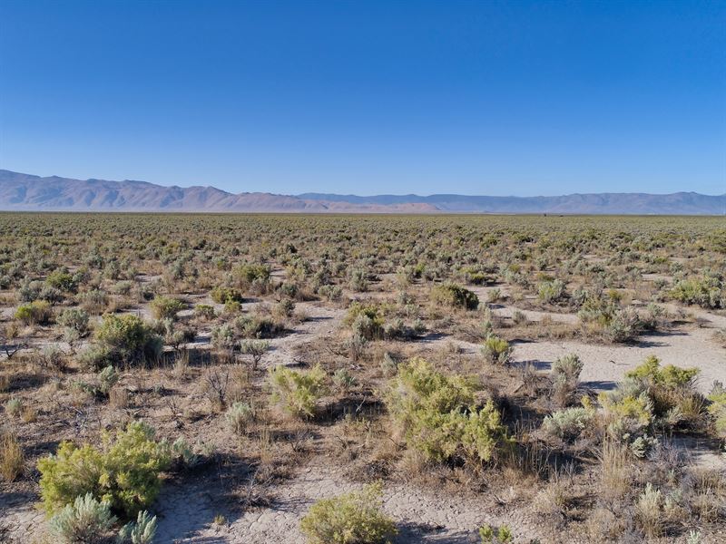 160 Acre Hollywood Hemp Monster : Herlong : Lassen County : California