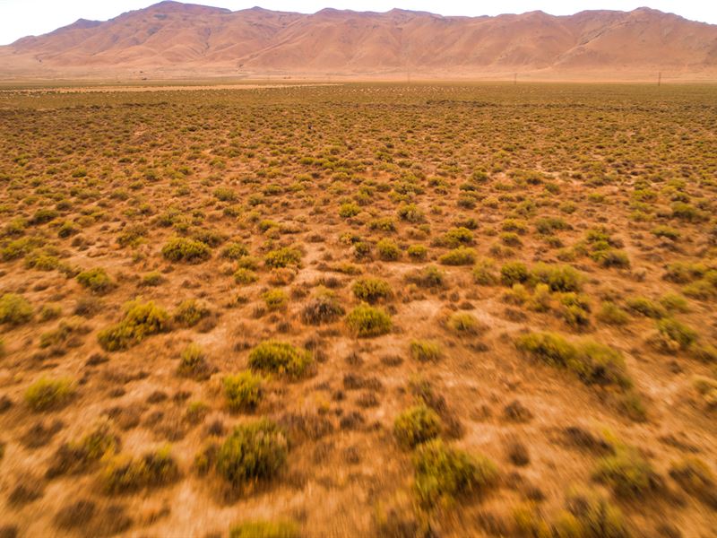 40 Acre Hemp Farm On My Mind : Doyle : Lassen County : California