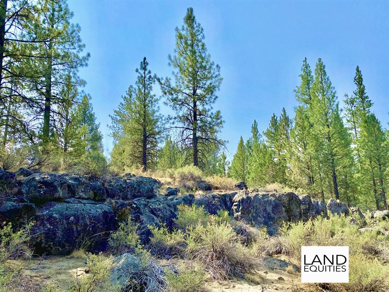 Near Sycan River & National Forest : Bly : Klamath County : Oregon