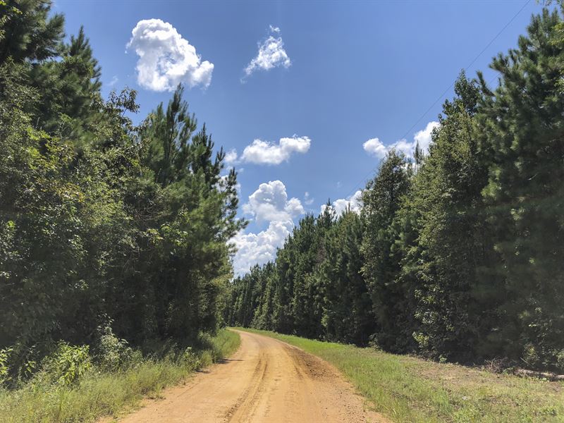 150 Acres, Felps Faircloth Tract : Warren : Tyler County : Texas
