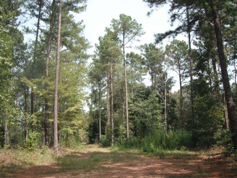 Great Hunting and Timber Investment : Winnsboro : Fairfield County : South Carolina
