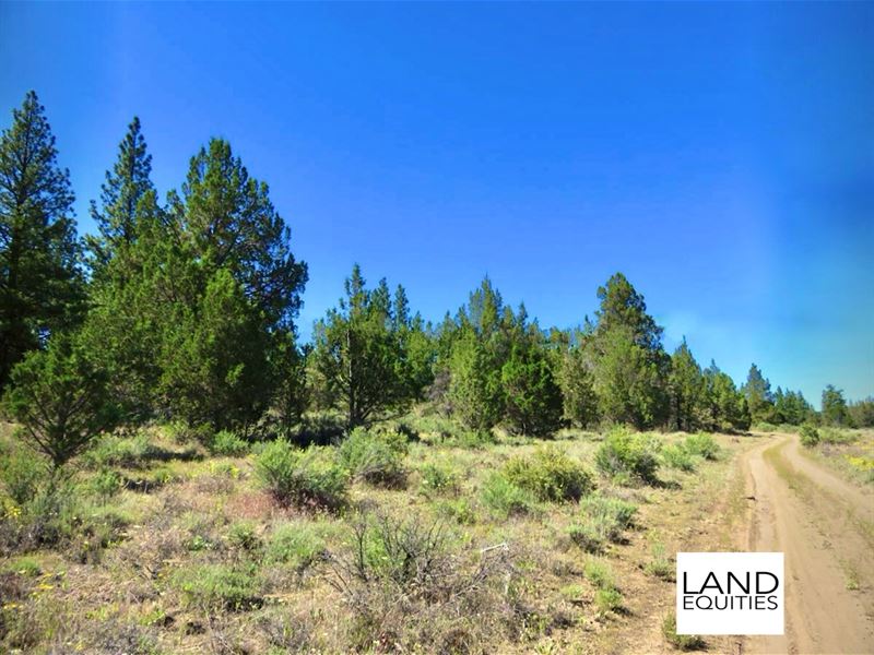 Very Private Off Grid Location : Beatty : Klamath County : Oregon