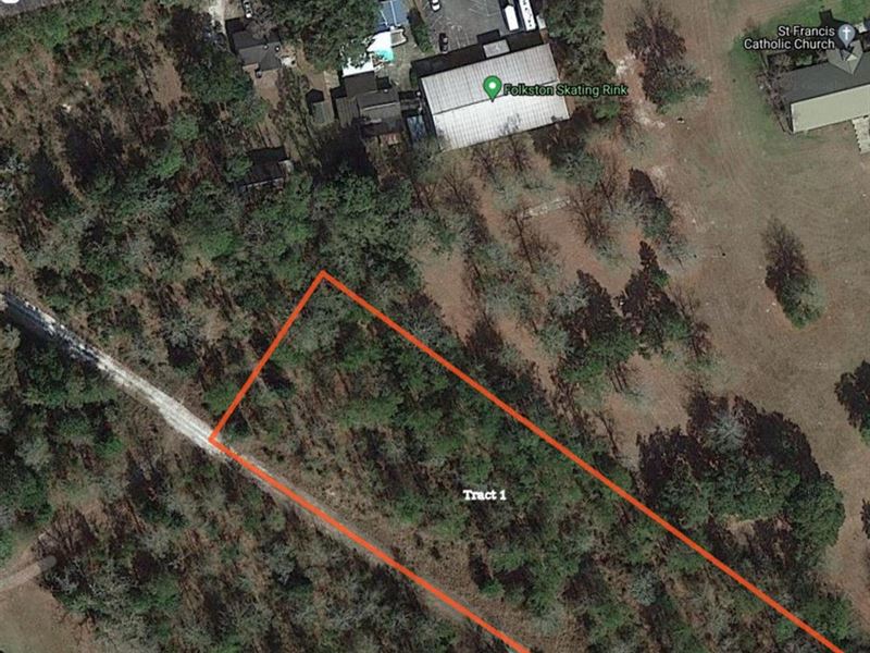 2-Acre Sfr Lot in Folkston, GA : Folkston : Charlton County : Georgia