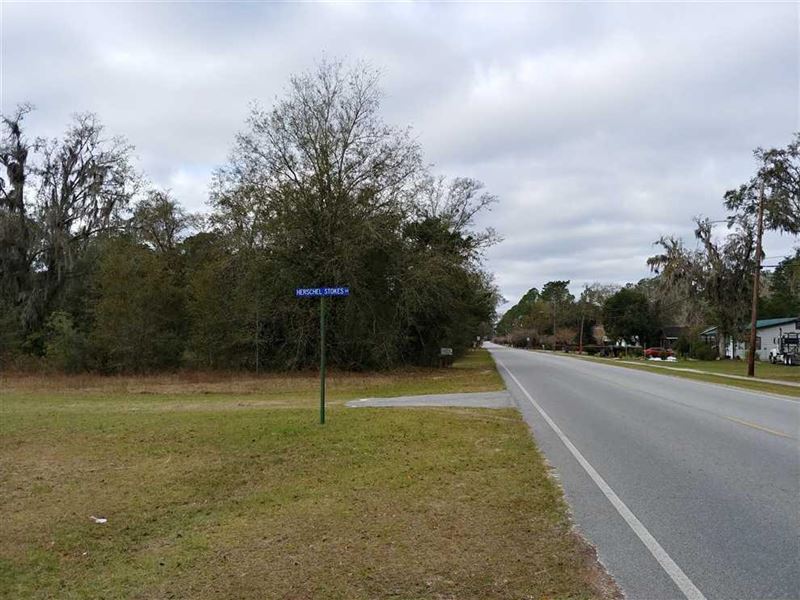3 Acres of Commercial Land in Folks : Folkston : Charlton County : Georgia