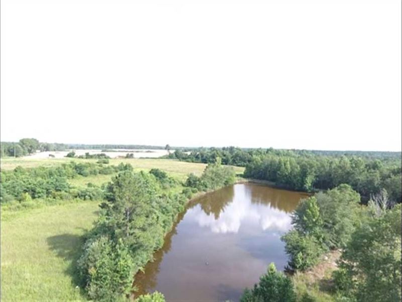 75 Acres Recreational Hunting LA : Milan : Dodge County : Georgia