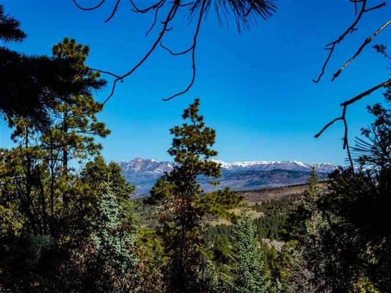 High Mountain Country Homesite : Chama : Rio Arriba County : New Mexico