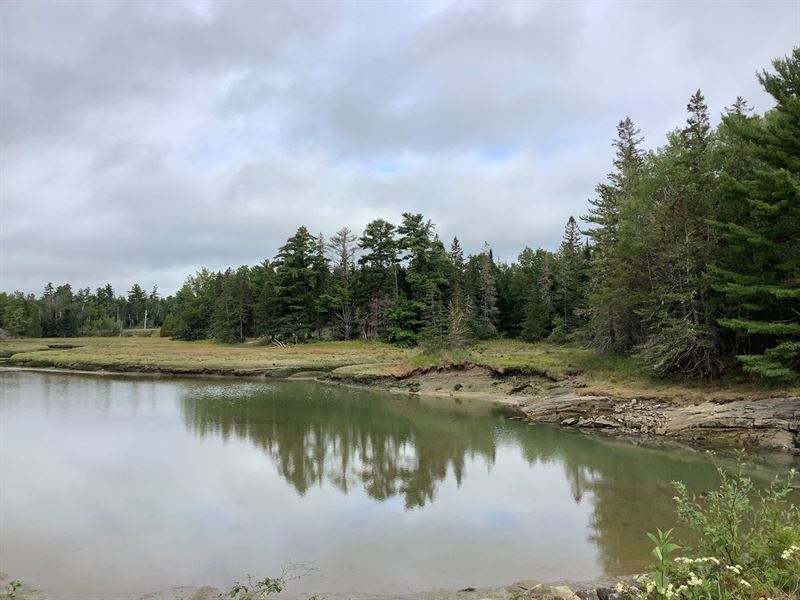 Coastal Land for Sale in Maine : Perry : Washington County : Maine
