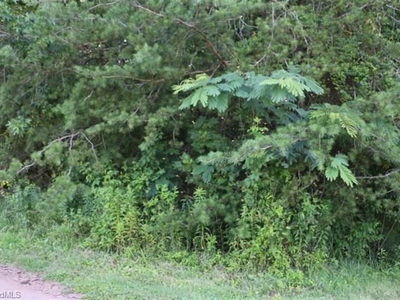 Lot in King North Carolina 27021 : King : Stokes County : North Carolina