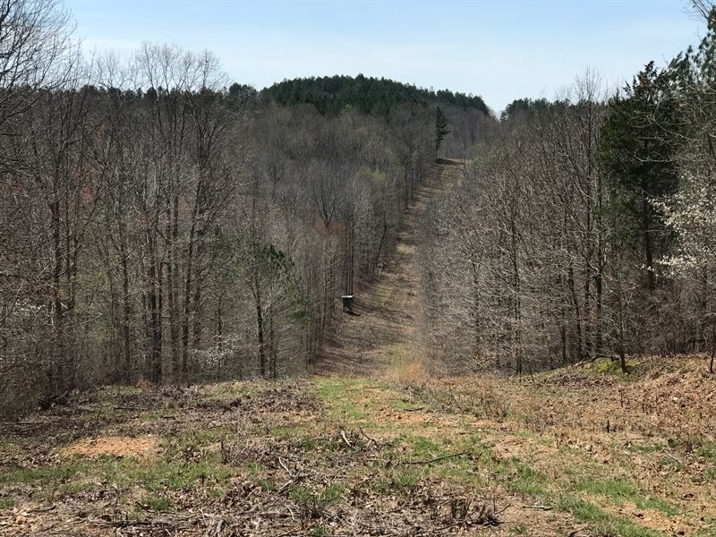 Waverly Tract 1 : Waverly : Humphreys County : Tennessee