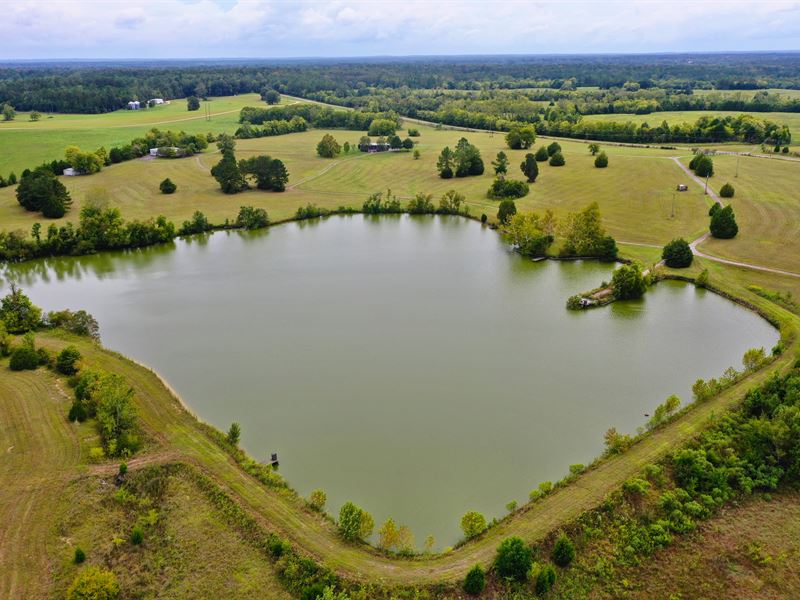 County Line Farm : Mathews : Bullock County : Alabama