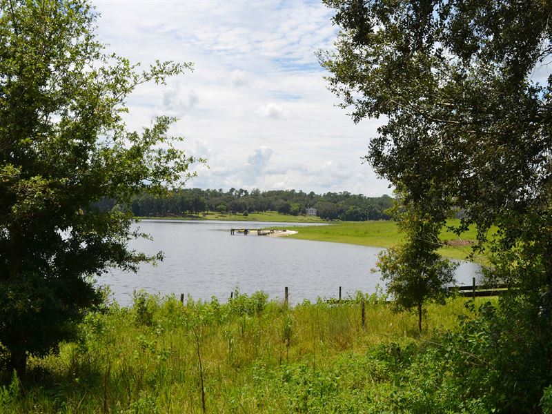 St Clair Lake Ranch : Brooksville : Hernando County : Florida
