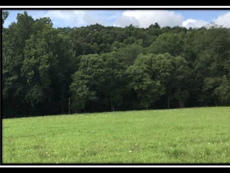 Tract 16 at Wheelabout Creek : McArthur : Vinton County : Ohio