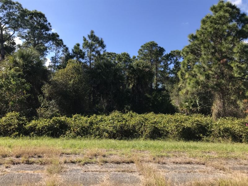 Off Grid Living or Investment : North Port : Sarasota County : Florida