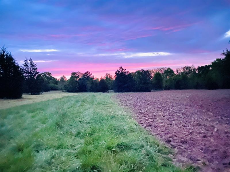Turnberry Farms Lot 14 : Piedmont : Greenville County : South Carolina