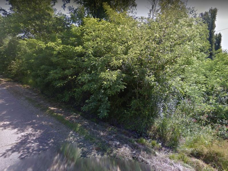 Quiet Getaway Surrounded by Farms : Dermott : Chicot County : Arkansas