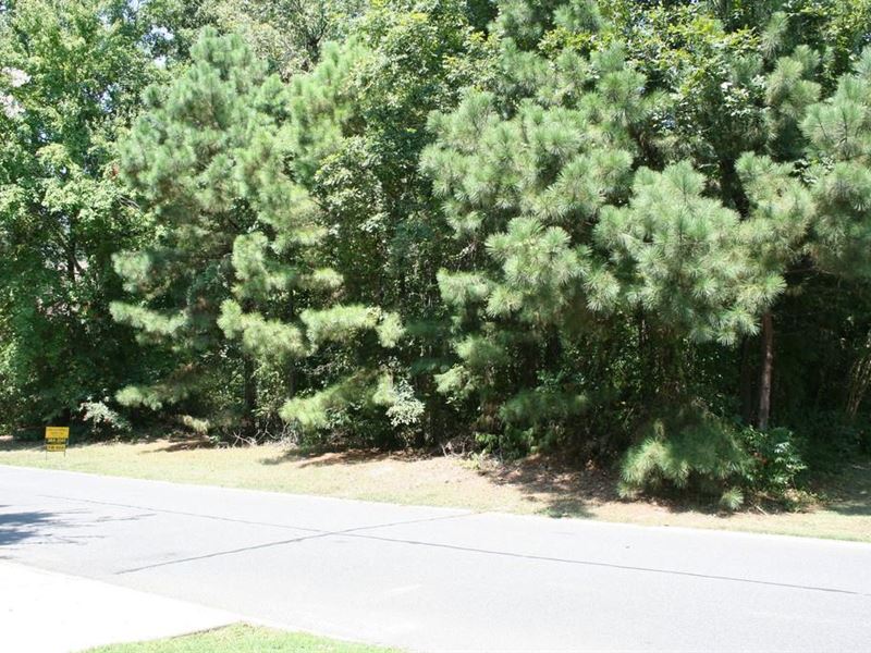 Small Town Seclusion and Beauty : Dermott : Chicot County : Arkansas