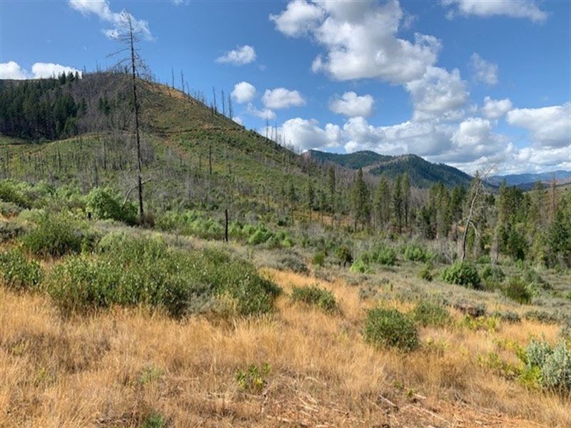 Perkins Creek 80 : Glendale : Douglas County : Oregon