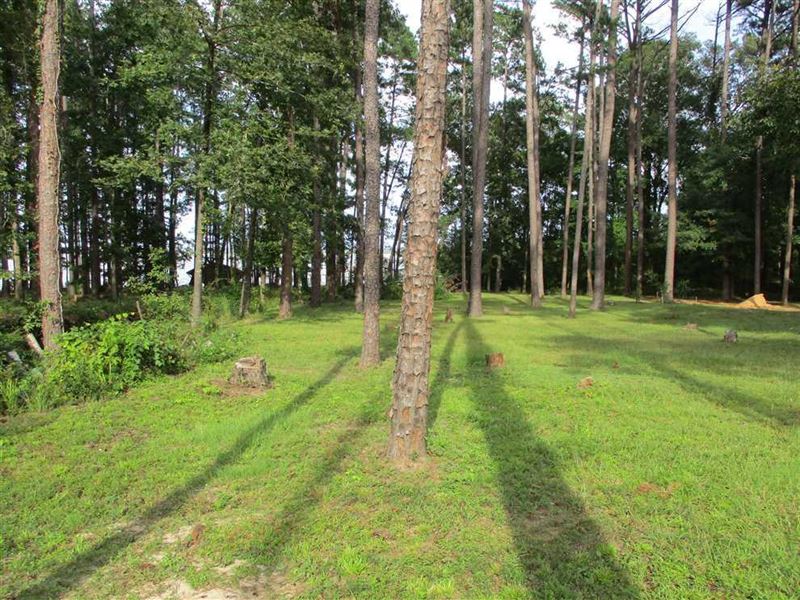Lot 591 Lakeshore Lane-Riverview Fo : Abbeville : Henry County : Alabama