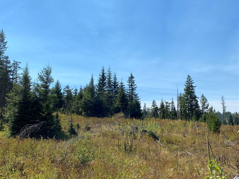 20.05 Acres, Treed Parcel Amazing : Orofino : Clearwater County : Idaho