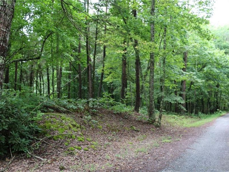 Land in King North Carolina 27021 : King : Stokes County : North Carolina