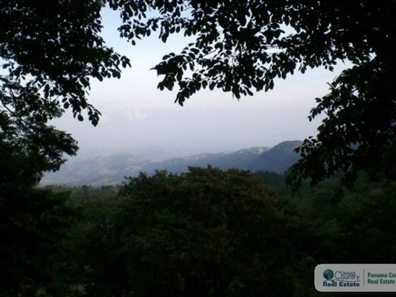 Lot in Altos Del Maria Panama : Panama
