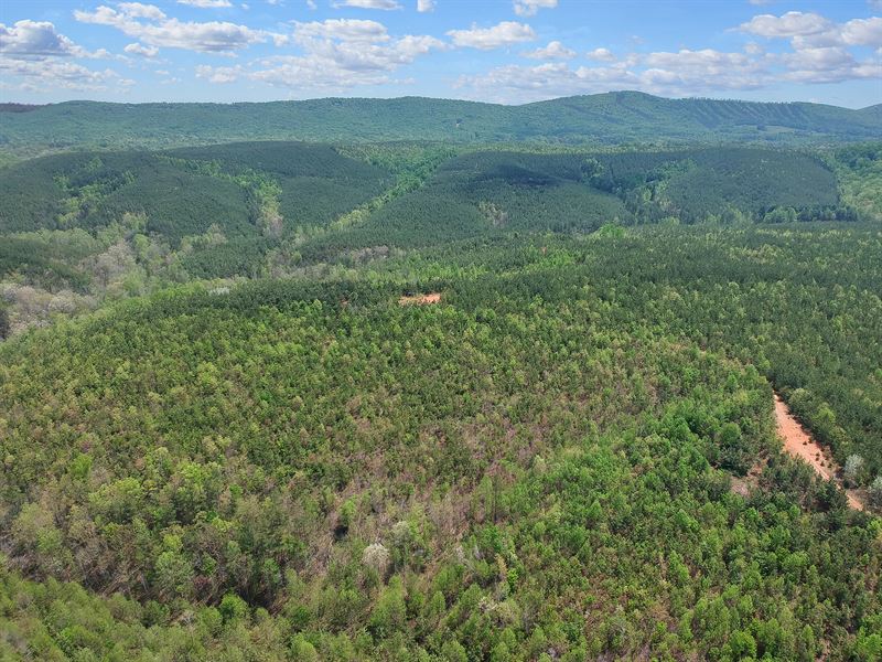 387 Ac Only 20 Minutes to Lynchburg : Rustburg : Campbell County : Virginia