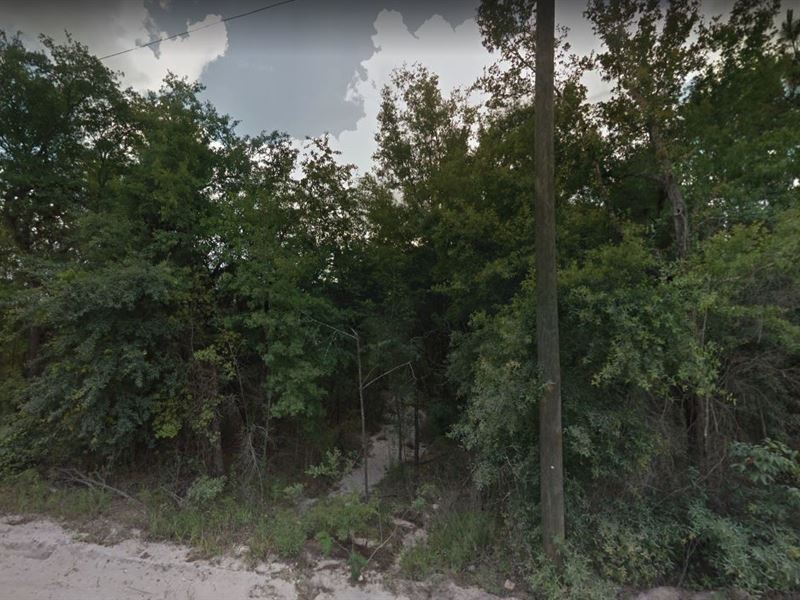 3 Lots for Sale in Interlachen, FL : Interlachen : Putnam County : Florida