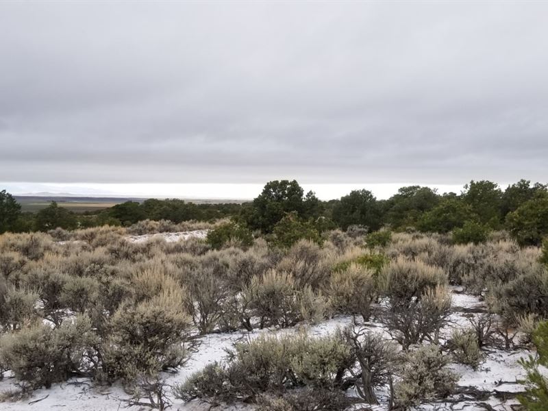 Enjoy Colorado on Your Own 5+ Acres : Fort Garland : Costilla County : Colorado