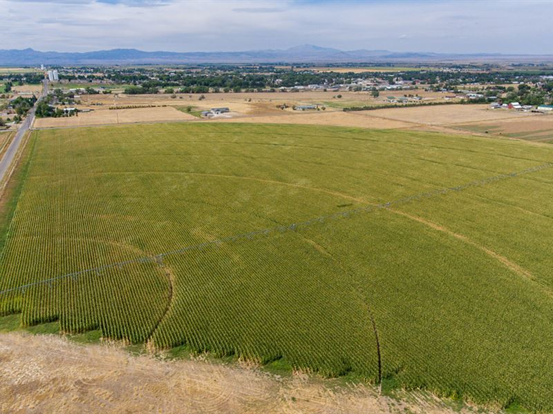 Houx Irrigated Farm : Wheatland : Platte County : Wyoming