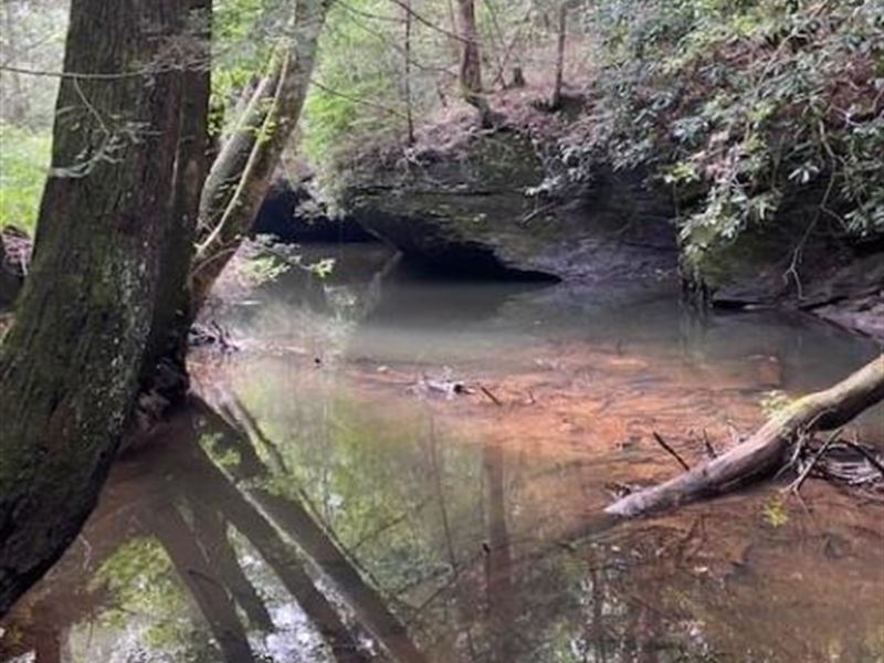 5.00+/-Acres Unrestricted, Creek : Gruetli-Laager : Grundy County : Tennessee