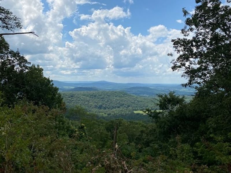200+/- Acs Prime Deer Hunting Prop : Doyle : Van Buren County : Tennessee