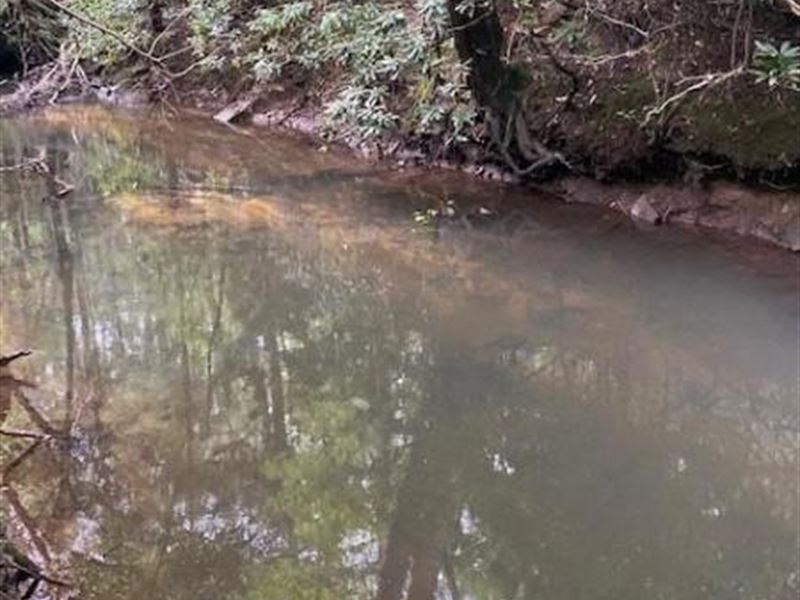 5.00+/-Acres Unrestricted, Creek : Gruetli-Laager : Grundy County : Tennessee