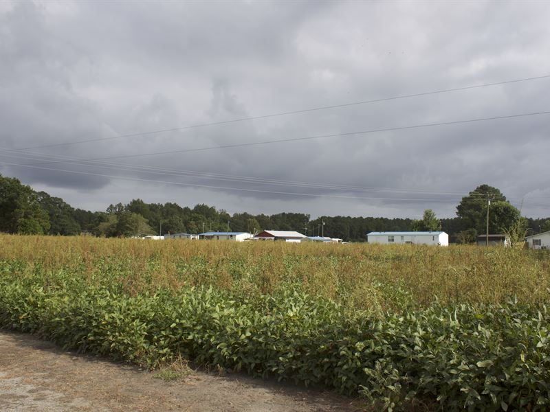 No Zoning, No Restrictions : Wallace : Duplin County : North Carolina