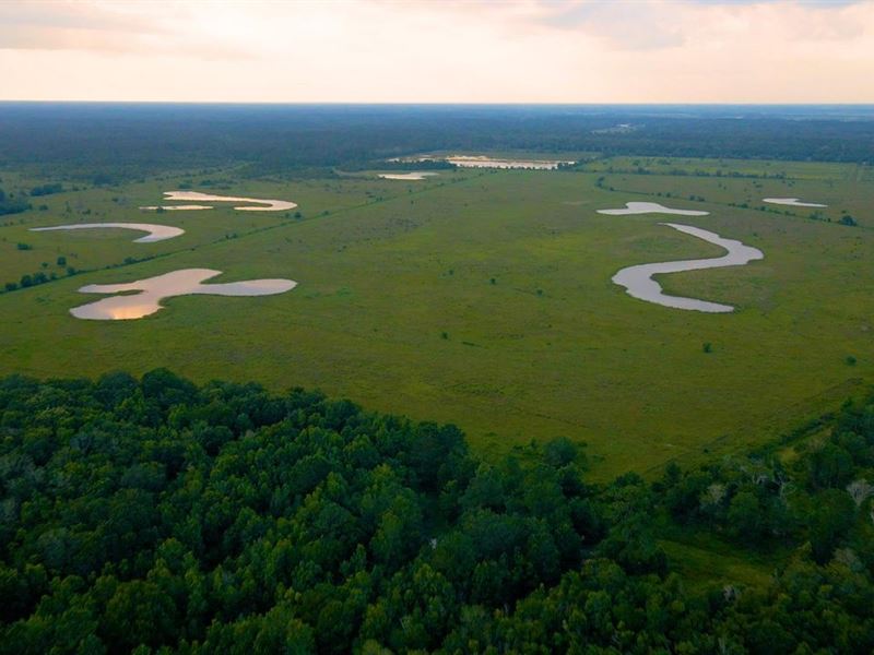 Waterfowl Hunting Land, The Boondo : Hamshire : Jefferson County : Texas