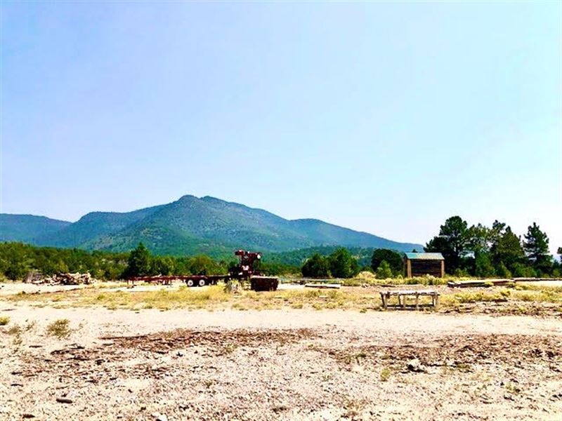 Hunting Area Mountain Land Timberon : Timberon : Otero County : New Mexico