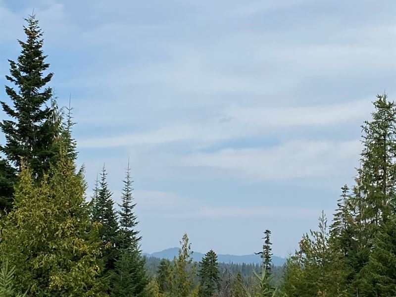 20.02 Treed Acre Parcel Orofino ID : Orofino : Clearwater County : Idaho
