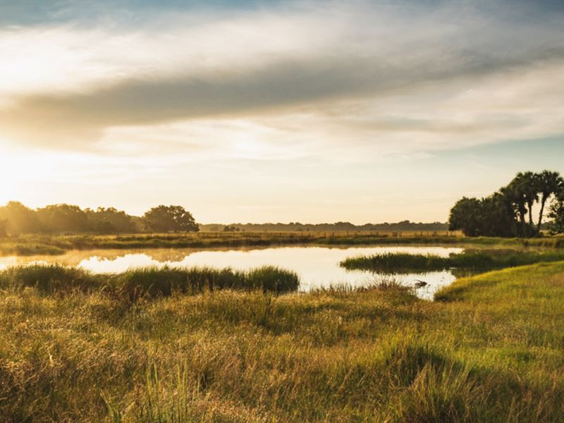 Lake Hatchineha Ranch Polk County : Haines City : Polk County : Florida