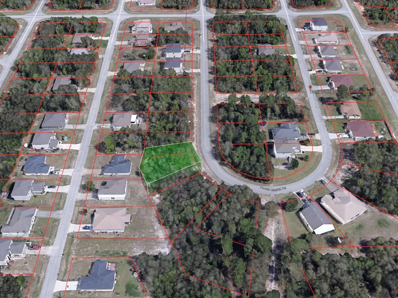 Great Building Lot in Poinciana : Poincianna : Polk County : Florida