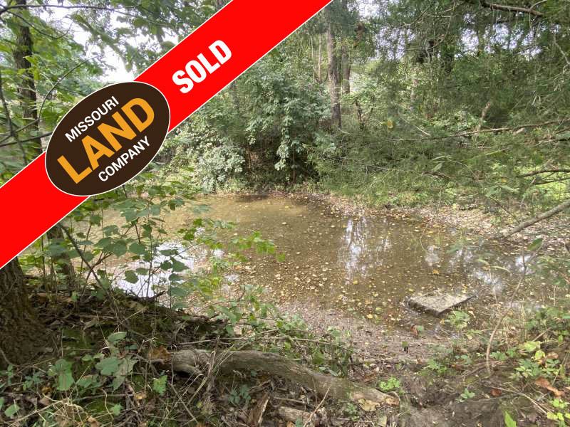 40 Acres Johnson County Loads : Warrensburg : Johnson County : Missouri