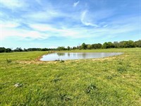3.3 Acres With a Pond in Greenville : Greenville : Butler County : Alabama