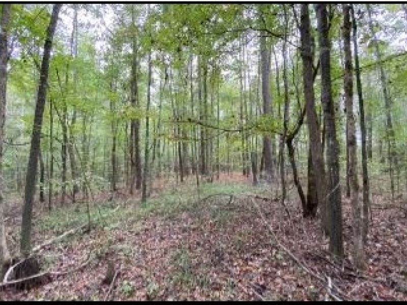 40 Acres In Copiah County In Hazleh : Hazlehurst : Copiah County : Mississippi