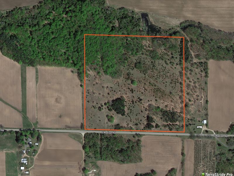 Versitile 40 Acres Near AG : Hart : Oceana County : Michigan