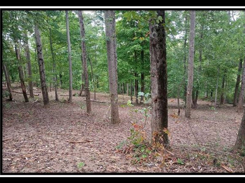 Tract 14, Longhenry Ponds : Junction City : Perry County : Ohio