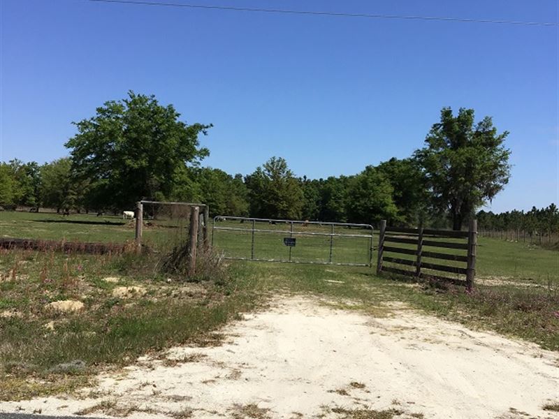 Pasture / Pines with I-10 Frontage : Live : Suwannee County : Florida