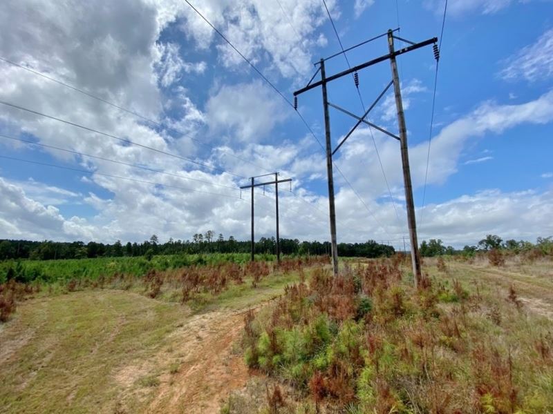 473 Acres Hunting Land for Sale : Liberty : Amite County : Mississippi