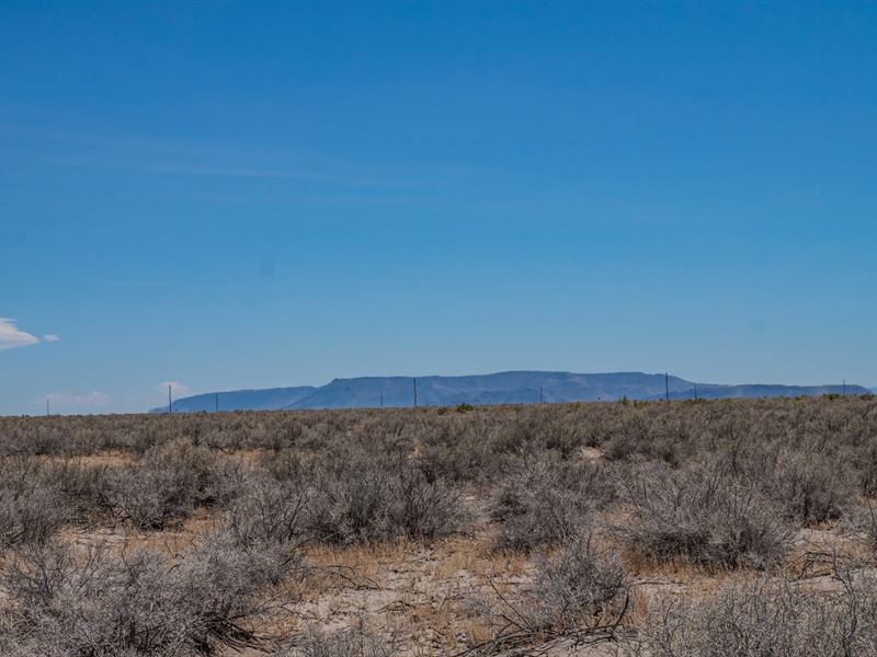 1.25 Acres Just Outside of Alamosa : Alamosa : Alamosa County : Colorado