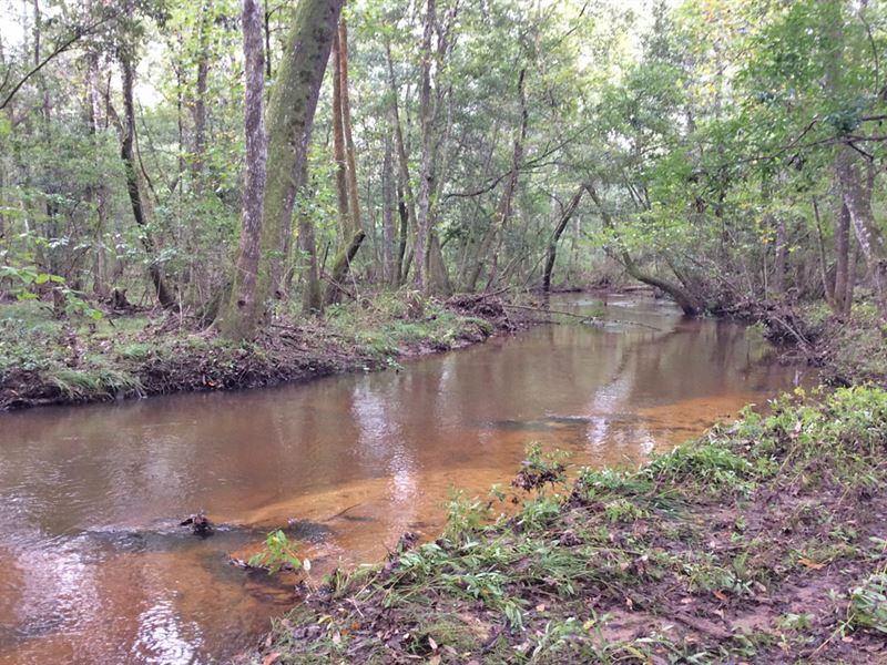 Weaver Place Rd Tract : Opp : Covington County : Alabama
