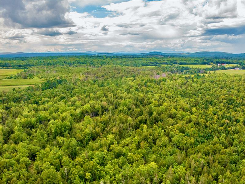 Wooded Acres, Electric & Road Front : Skowhegan : Somerset County : Maine